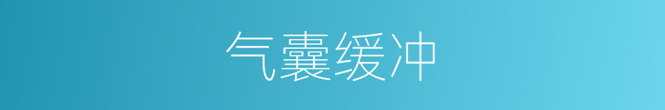 气囊缓冲的同义词