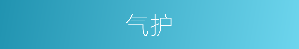 气护的同义词