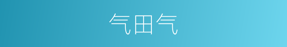 气田气的同义词