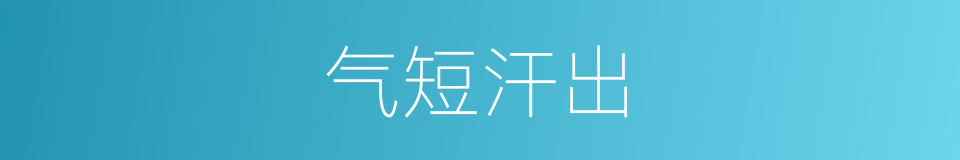 气短汗出的同义词