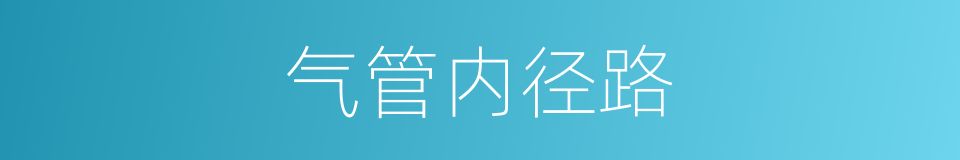 气管内径路的同义词