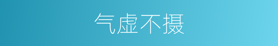 气虚不摄的同义词