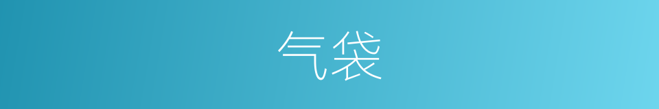 气袋的意思