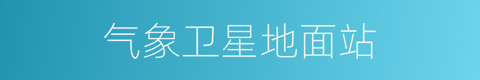 气象卫星地面站的同义词