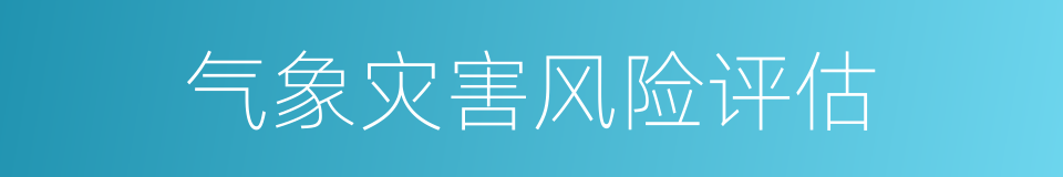 气象灾害风险评估的同义词