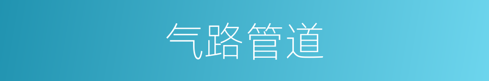 气路管道的同义词