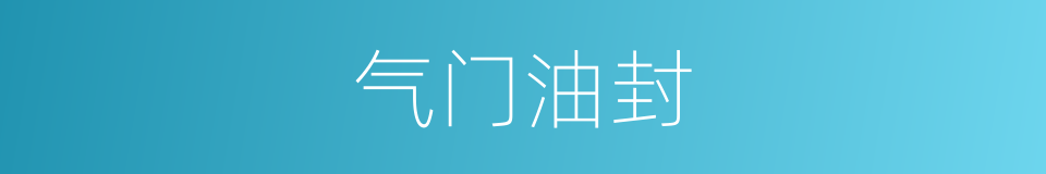 气门油封的同义词