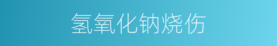 氢氧化钠烧伤的同义词