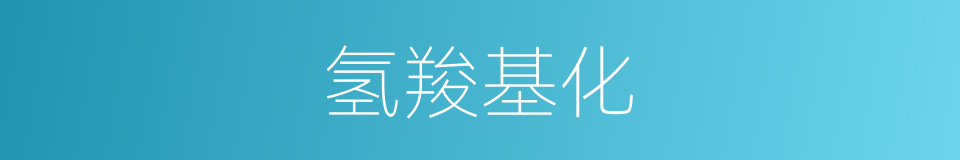 氢羧基化的同义词