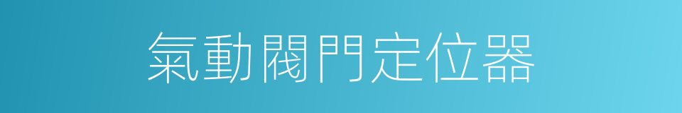 氣動閥門定位器的同義詞