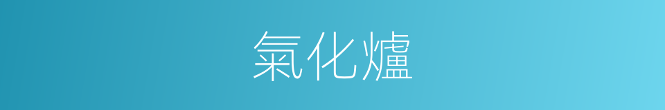 氣化爐的同義詞