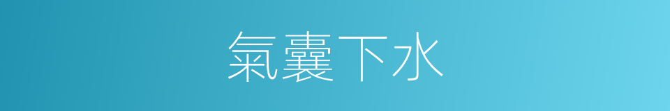 氣囊下水的同義詞
