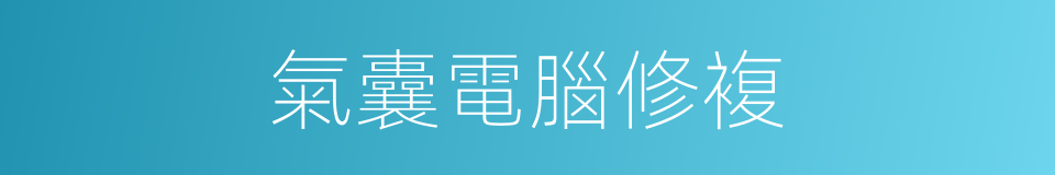 氣囊電腦修複的同義詞