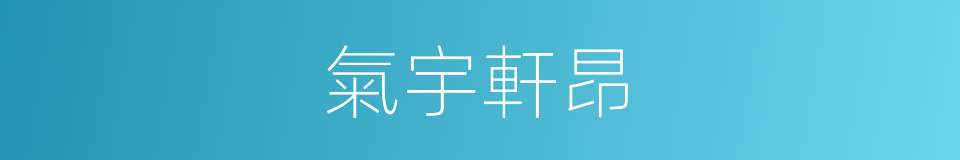 氣宇軒昂的意思
