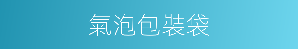 氣泡包裝袋的同義詞