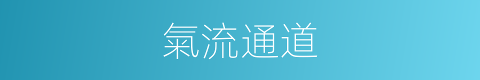 氣流通道的同義詞