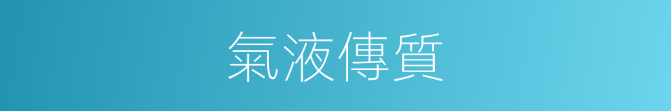 氣液傳質的同義詞