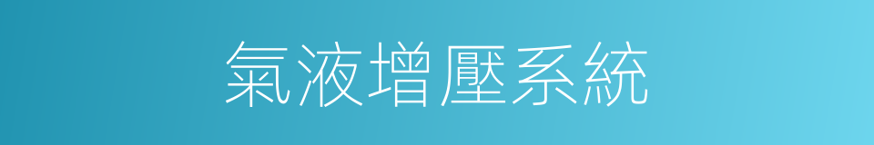 氣液增壓系統的同義詞