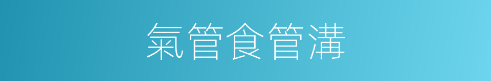氣管食管溝的同義詞