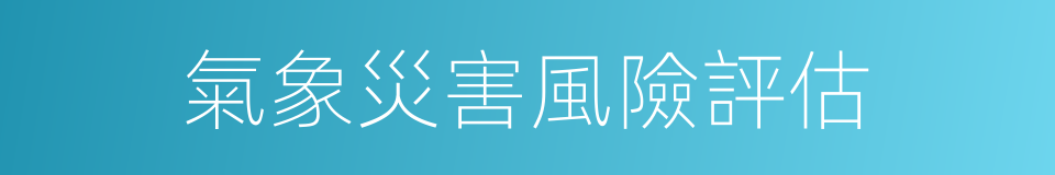 氣象災害風險評估的同義詞