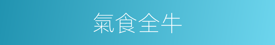 氣食全牛的意思