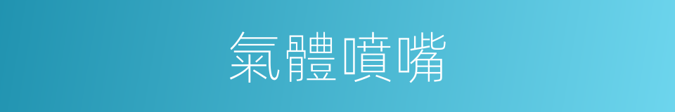 氣體噴嘴的同義詞