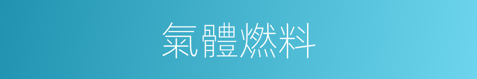 氣體燃料的意思