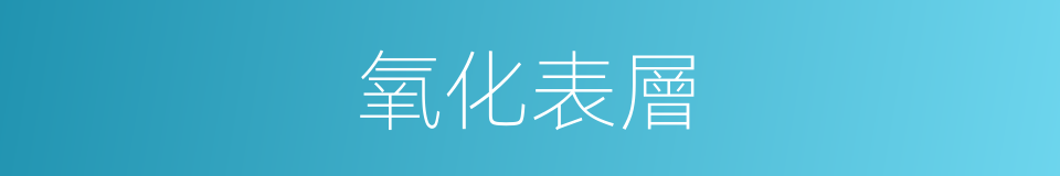 氧化表層的同義詞