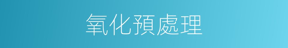 氧化預處理的同義詞