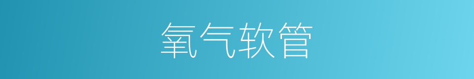 氧气软管的同义词