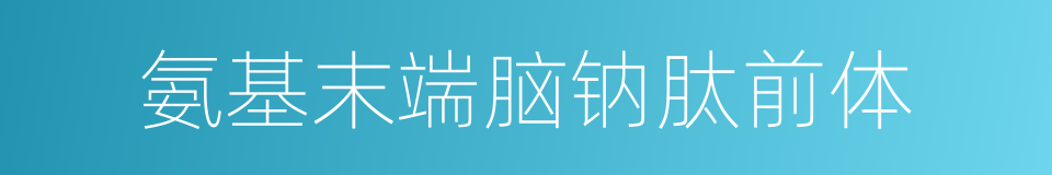 氨基末端脑钠肽前体的同义词