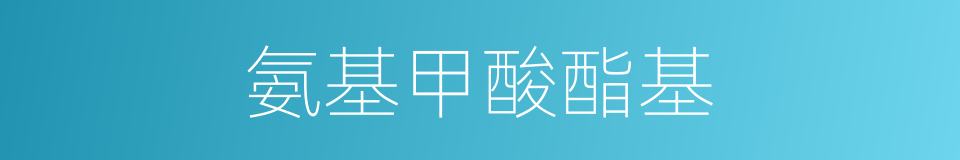 氨基甲酸酯基的同义词