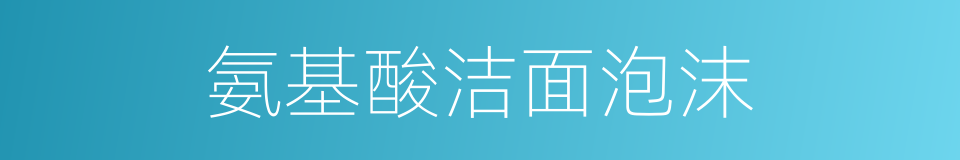 氨基酸洁面泡沫的同义词