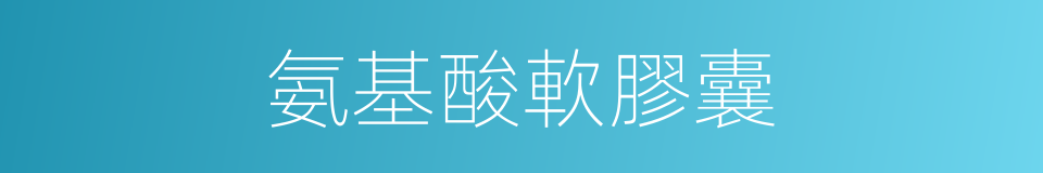 氨基酸軟膠囊的同義詞