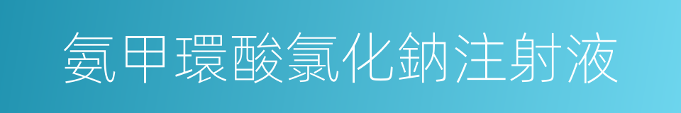 氨甲環酸氯化鈉注射液的同義詞
