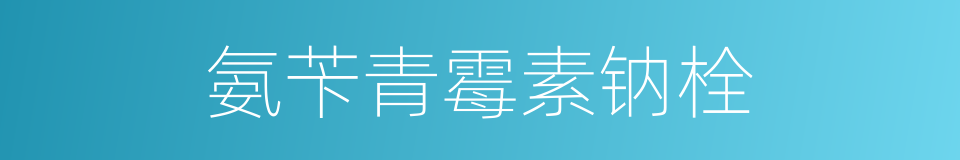 氨苄青霉素钠栓的同义词