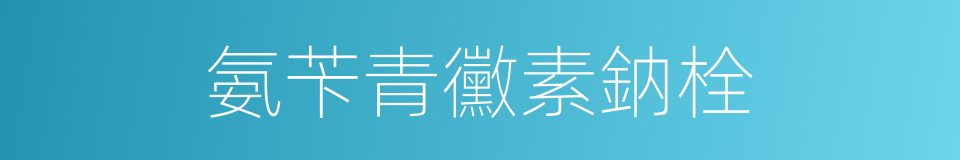 氨苄青黴素鈉栓的同義詞