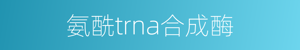 氨酰trna合成酶的同义词