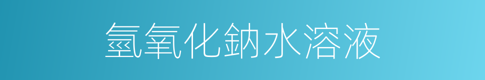 氫氧化鈉水溶液的同義詞