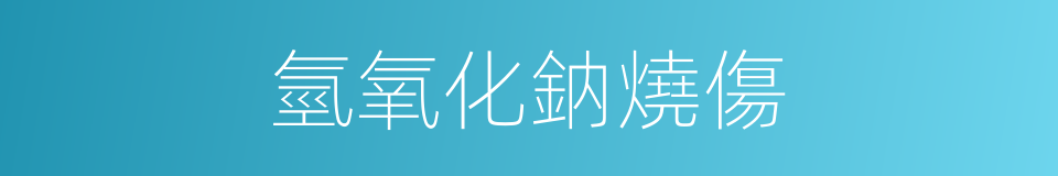 氫氧化鈉燒傷的同義詞