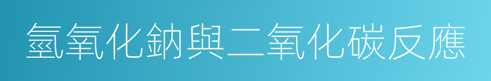 氫氧化鈉與二氧化碳反應的同義詞