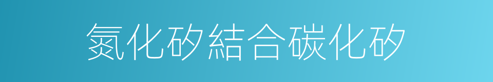 氮化矽結合碳化矽的同義詞