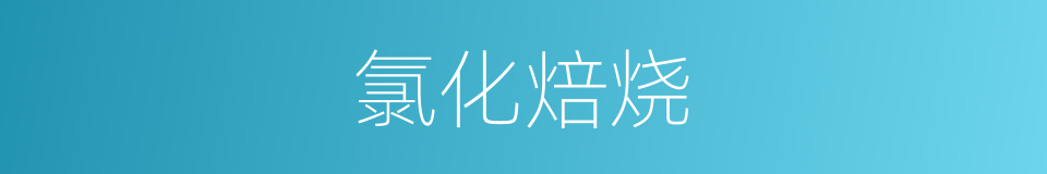 氯化焙烧的同义词