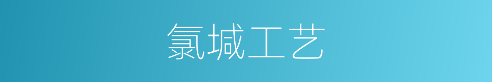 氯堿工艺的同義詞