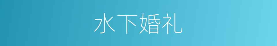 水下婚礼的同义词