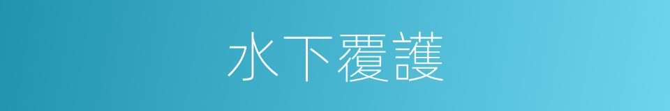 水下覆護的同義詞