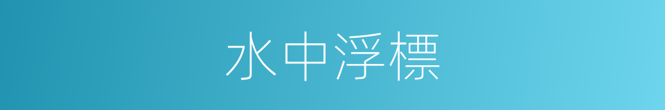 水中浮標的同義詞
