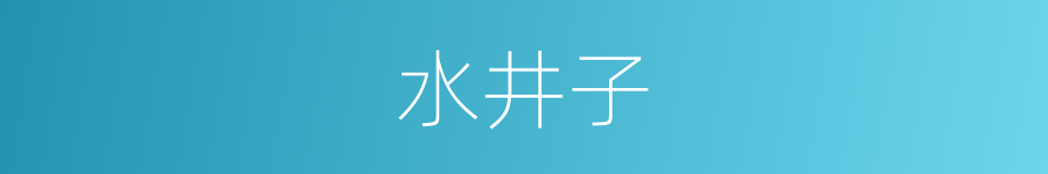 水井子的同义词