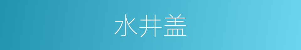 水井盖的同义词