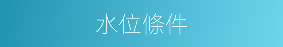 水位條件的同義詞